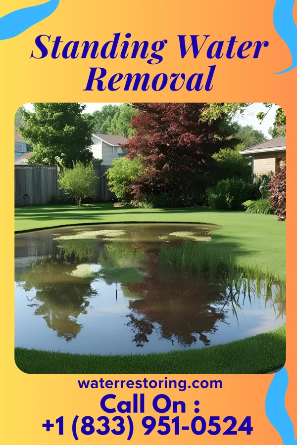 Standing Water Removal in Hyrum, UT